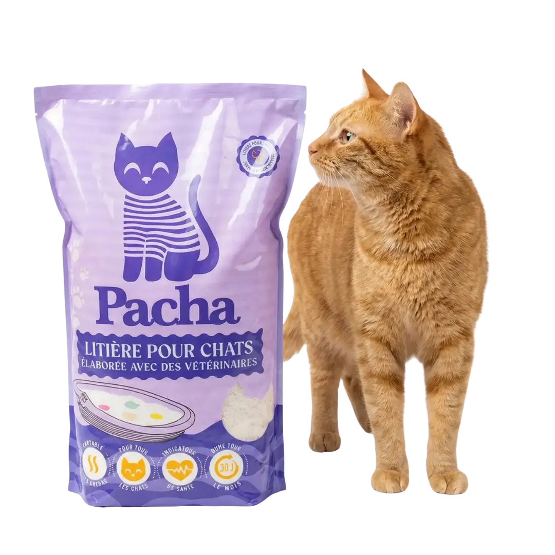 1 sac Pacha